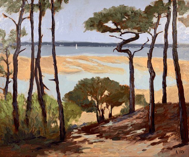 Vue sur bassin - depuis le tir au vol - Arcachon