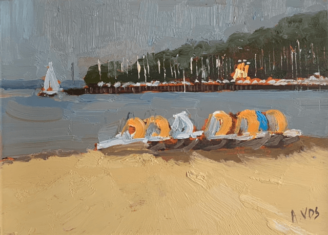 Les pédalos de la plage de Cazaux