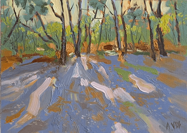Lumières dans les arbres