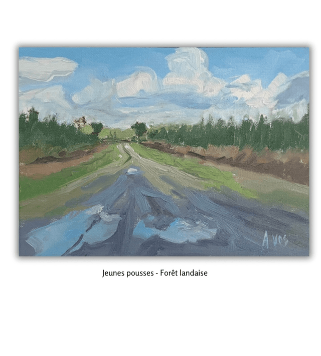Jeunes pousses - Forêt Landaise