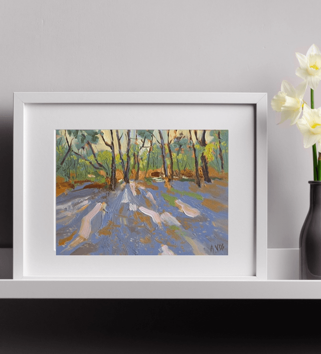 Lumières dans les arbres