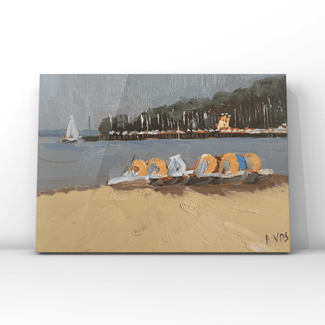 Les pédalos de la plage de Cazaux